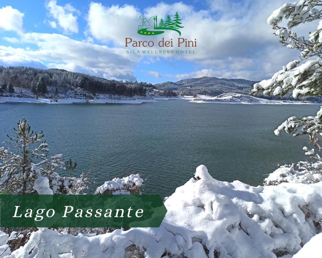 Parco Dei Pini - Sila Wellness Hotel Taverna  Εξωτερικό φωτογραφία