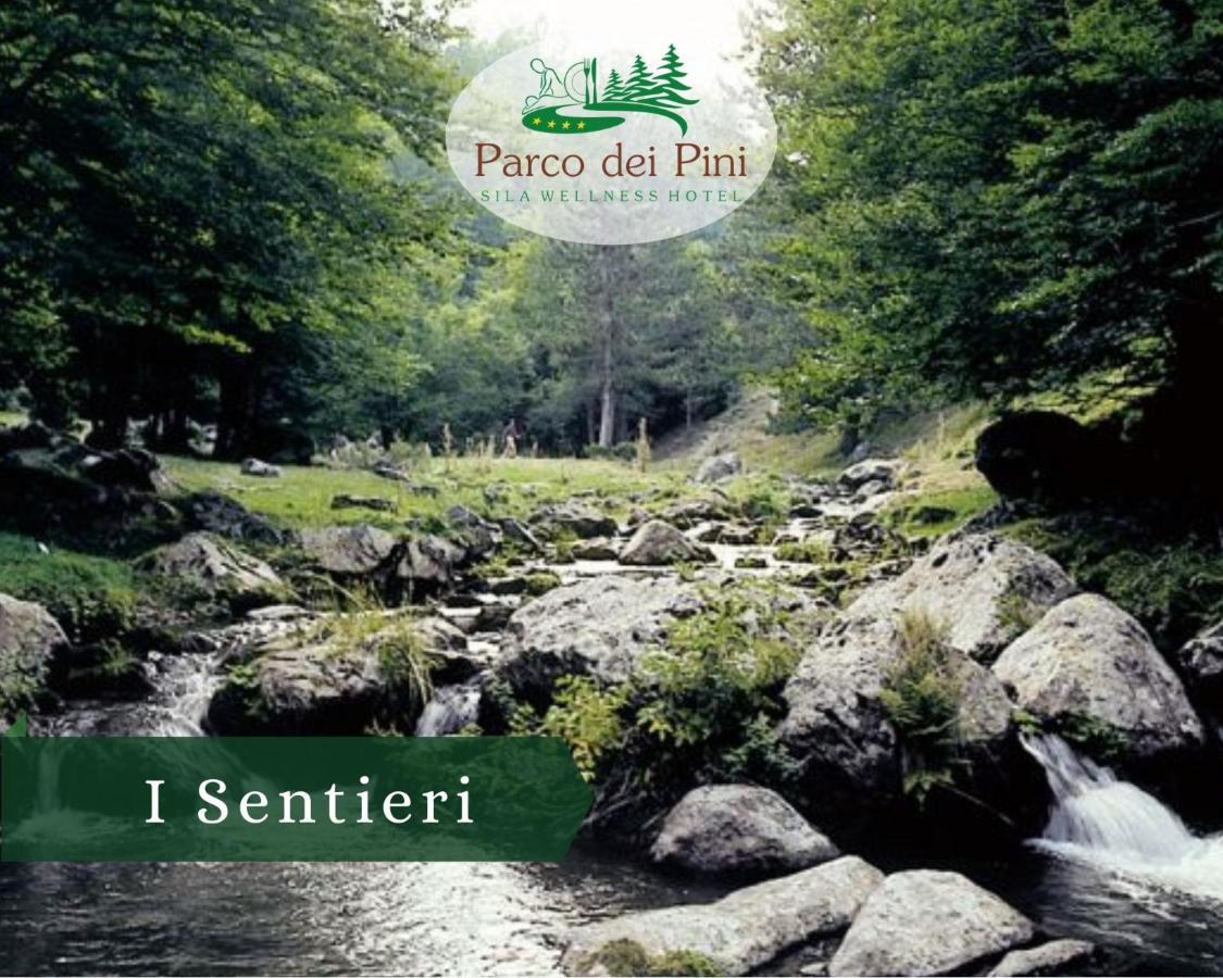 Parco Dei Pini - Sila Wellness Hotel Taverna  Εξωτερικό φωτογραφία